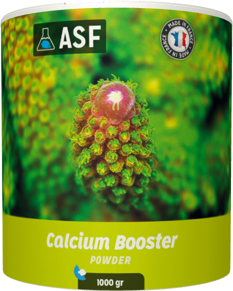 ASF Calcium Booster – Powder