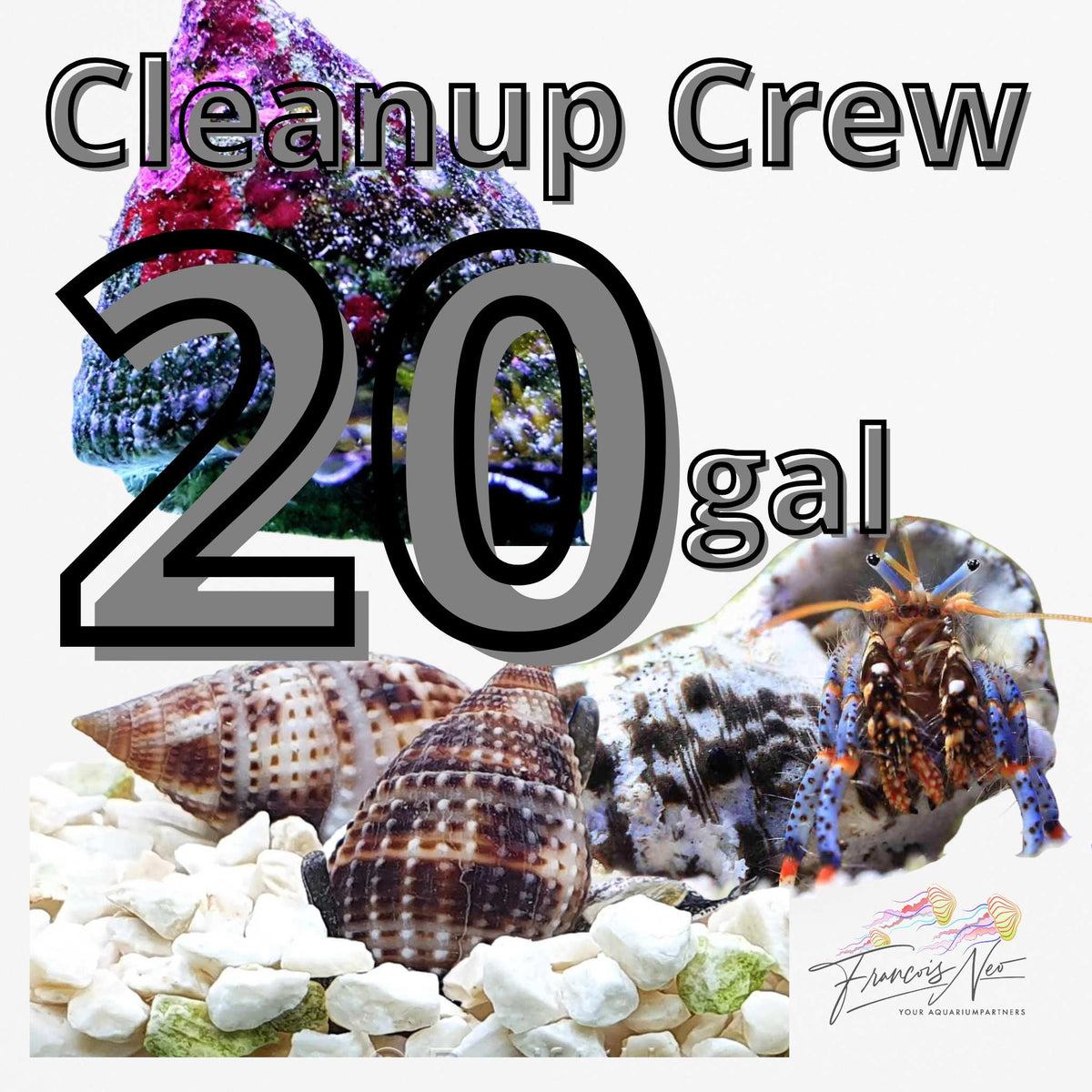 20-Gallon AIO Reef Clean-Up Crew Kit