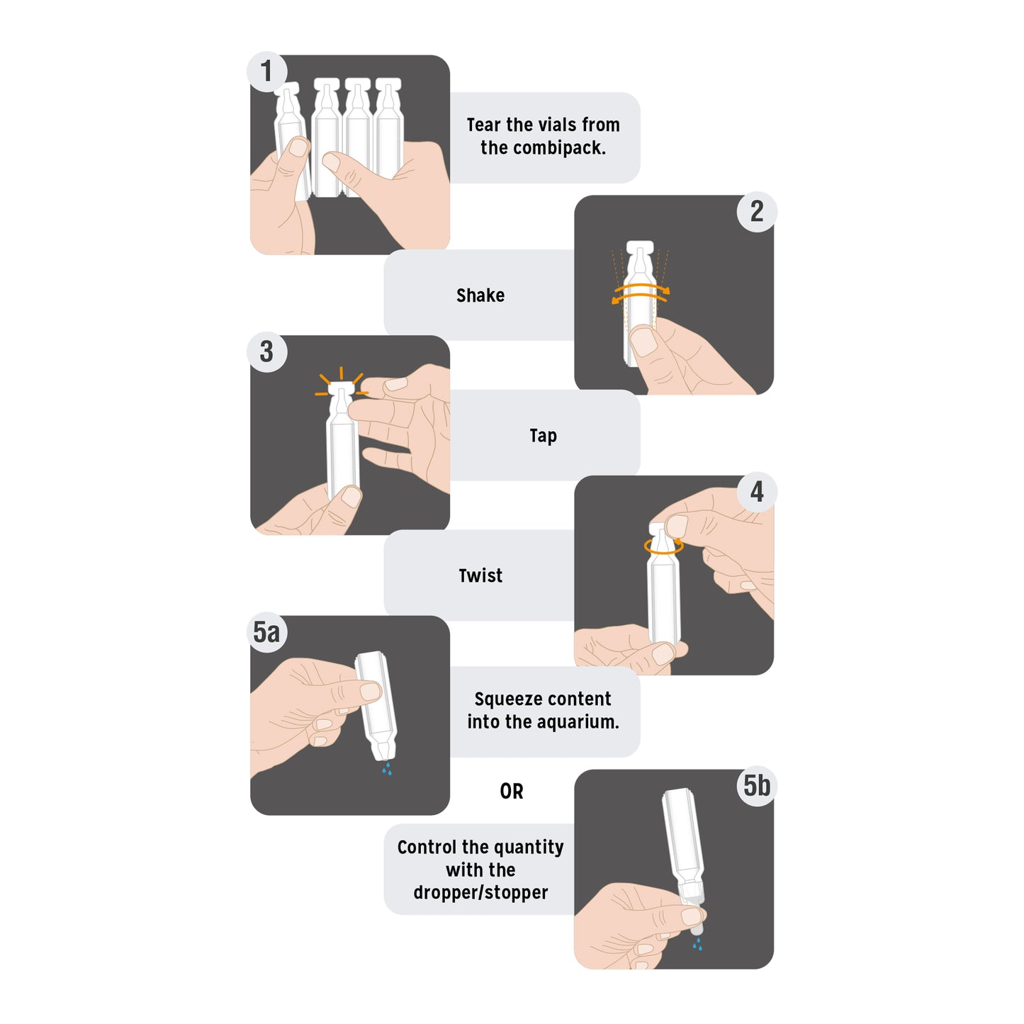 ASF Reef Shot – Strontium