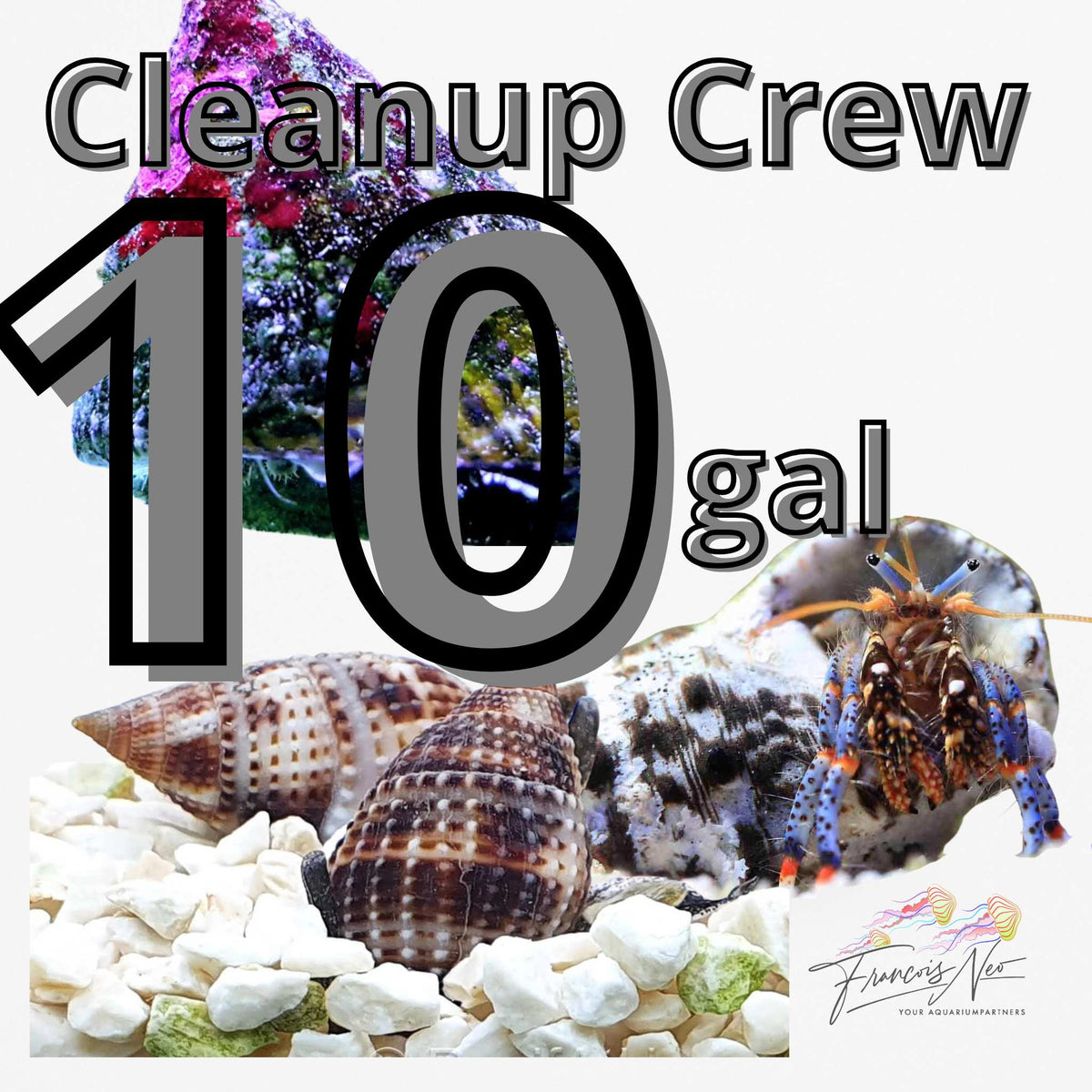 Nano Reef Starter Kit (10 gal)
