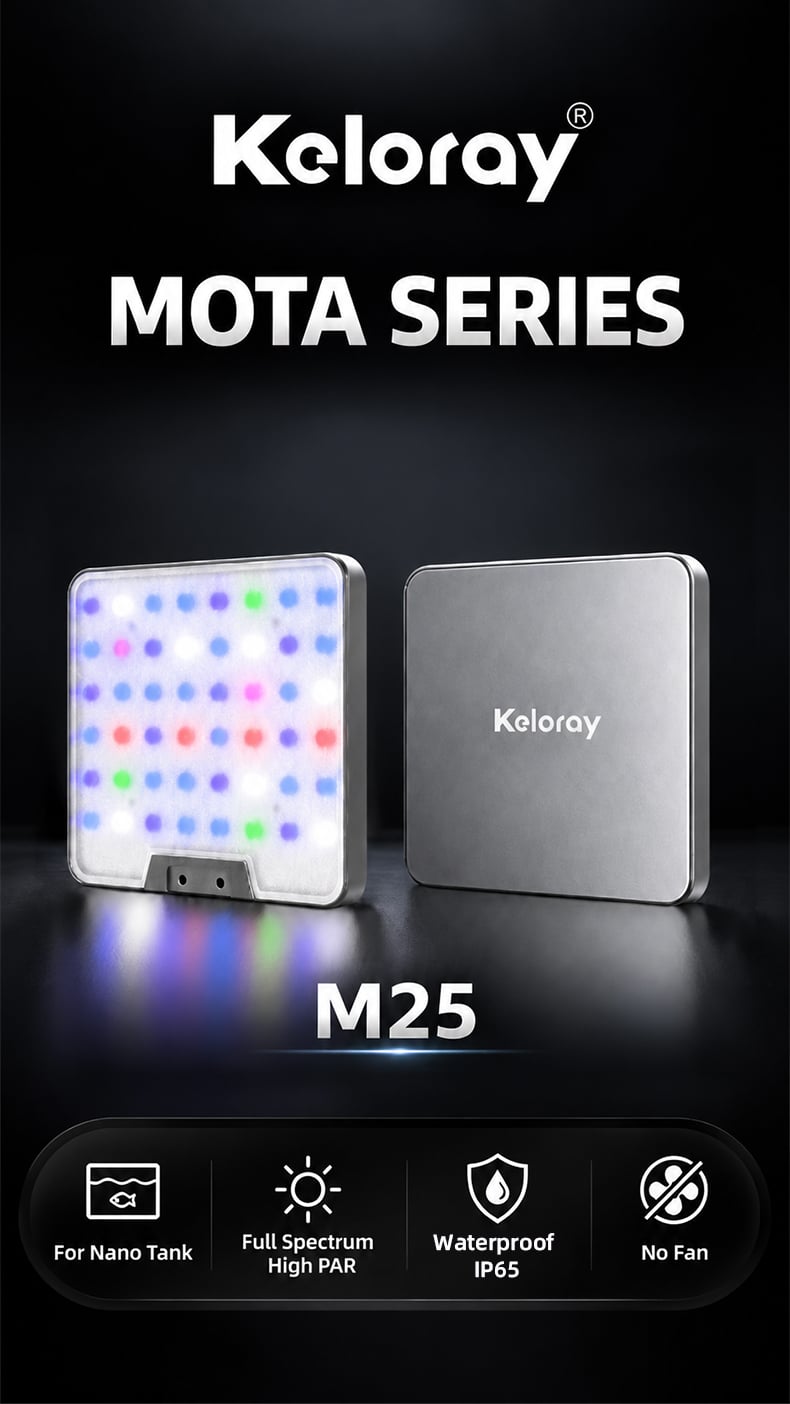 Keloray MOTA M25 m25-overview